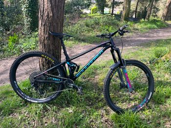 Mondraker, Foxy XR 29 2019