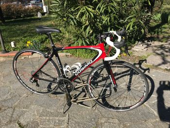 A2, A2 Custom Campagnolo Xenon
