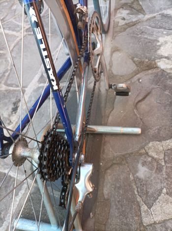 Used Francesco Moser Francesco Moser Custom Other Campagnolo 2000 Road & Gravel — image 3 of 6