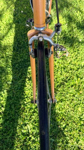 Motobecane, Motobecane Custom Shimano 600
