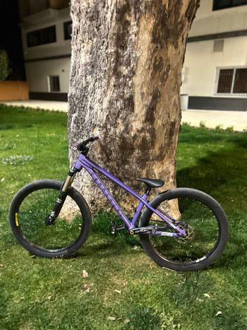 Commencal, ABSOLUT 2024