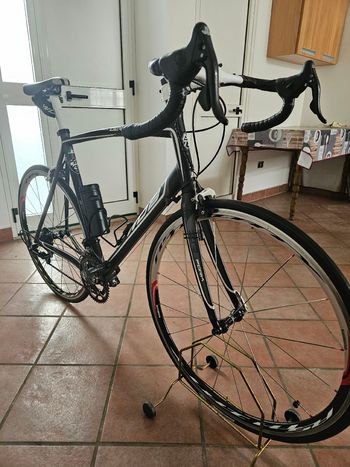 Wdb, Wdb Custom Campagnolo Xenon