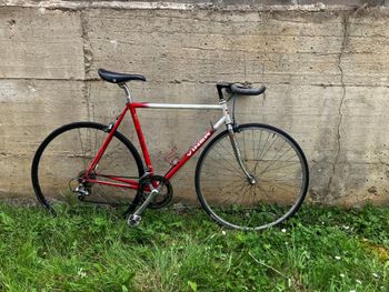 Viner, Custom