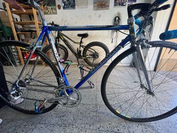 Použité Colnago Master Campagnolo Record 1994 Road & Gravel — obrázek 6 z 6