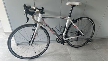 Eddy Merckx, EFX CL+240