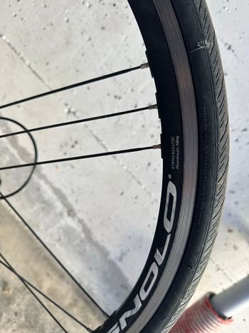 Used Fontana Fontana Custom Other Campagnolo 2016 Road & Gravel — image 3 of 9