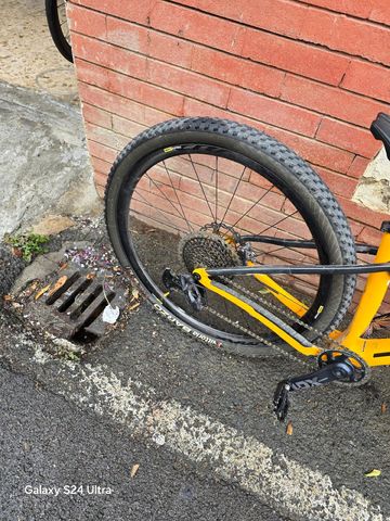 Tweedehands Trek Procaliber SRAM XX1 Eagle 2024 Mountainbike — afbeelding 4 van 8