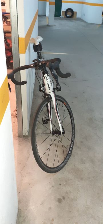 Tweedehands Massi PRO SL Carbono Carretera 2016 Road & Gravel