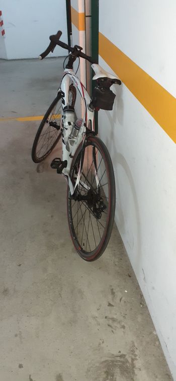 Used Massi Massi PRO SL Carbono Carretera 2016 Road & Gravel — image 2 of 4