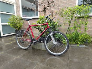 Used kyoso Kyoso Custom Other Shimano 1992 Mountainbike — image 12 of 12
