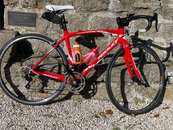 Ridley, Ridley Custom Campagnolo Record