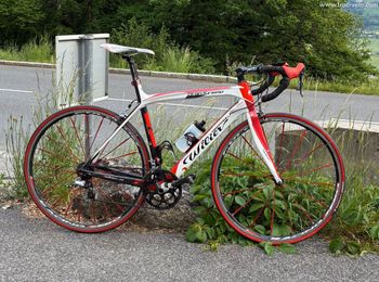 Used Wilier Gran Turismo 2014 Road & Gravel, Blanco — image 2 of 3