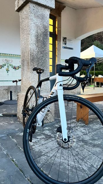 Canyon, Ultimate CF SL 7 2024