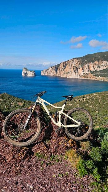 Used Rose Rose Root Miller 3 2023 Mountainbike — image 1 of 6