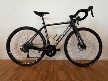 Stevens, Prestige Shimano Ultegra