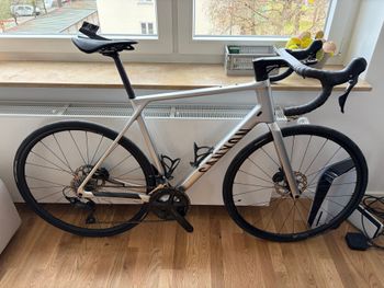 Canyon, Endurace CF 7 2024