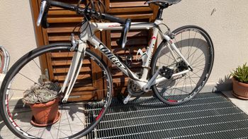 Wilier, Mortirolo Other Campagnolo