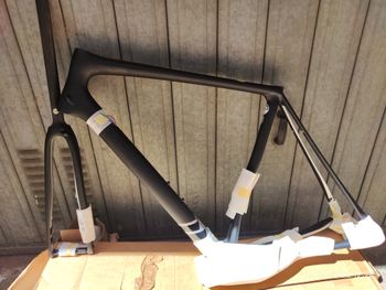 Used Cannondale Synapse Frameset 2023 Road & Gravel