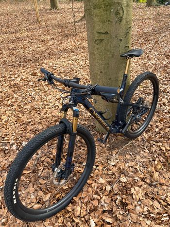 Orbea, OIZ M PRO 2022
