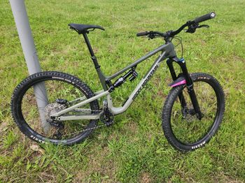 Rocky Mountain, Altitude Carbon 70 Coil 2022