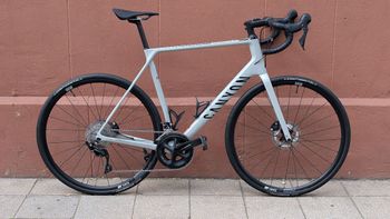Canyon, Endurace CF SL 7 Disc 2021