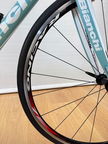 Used Bianchi Bianchi Infinito Campagnolo Athena 11v. Taglia 51 | 2010 2010 Road & Gravel, Blue — image 8 of 24