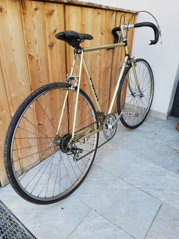PUCH, PUCH Custom Other Shimano
