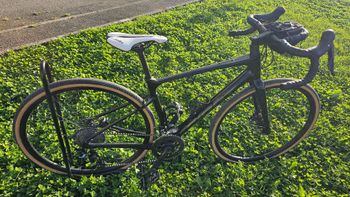 Giant, Revolt Advanced 2 2024