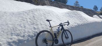 Used Canyon grail cf sl 7 Canyon Grail Cf Sl 7 Custom Road & Gravel — image 1 of 4