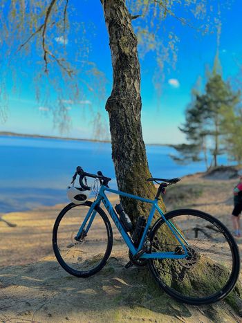 Used Canyon Endurace 7 Disc 2021 2021 Road & Gravel, Blue — image 13 of 14
