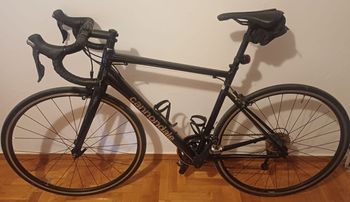 Cannondale, CAAD Optimo 2 2024