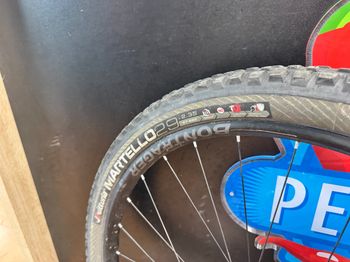 Used Trek Slash 9.9 29 Race Shop Limited 2017 2017 Mountainbike, Rot, 29 — image 2 of 37