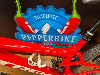 Used Trek Slash 9.9 29 Race Shop Limited 2017 2017 Mountainbike, Rot, 29 — image 28 of 37
