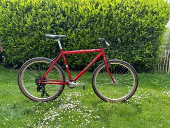 Scott, Rockwood Restomod 90‘s