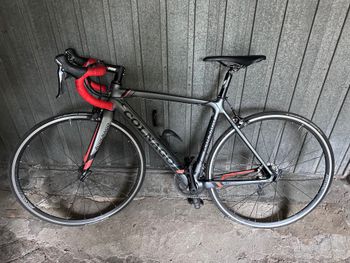 Colnago, AC-R 105 Bike 2019
