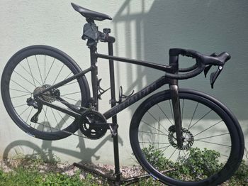 Specialized, Allez Sprint Frameset - D'Aluisio Smartweld Alloy 2025