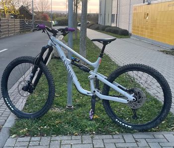 Canyon, Torque 5 (Mullet) 2025