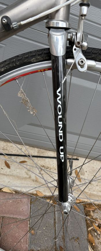 Used Samson Telluride, Titanium 27 Speed Road Bike, 2000 Road & Gravel, Light Gray — image 15 of 19