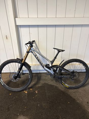 Canyon, Sender CFR Mullet 2022