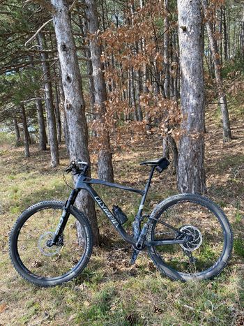 Used Olympia Olympia Custom SRAM GX Eagle AXS 2025 Mountainbike, Black, 29 — image 1 of 7