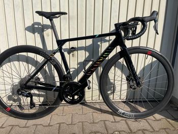 Canyon, Ultimate CFR LTD 2025