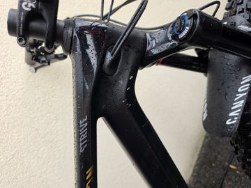 Used Canyon Strive CF 9.0 2020 2020 Mountainbike, Black, 29 — image 3 of 10
