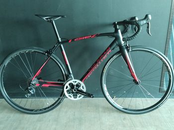 Specialized, Allez Race 2014