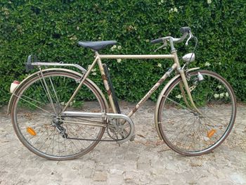 Bottecchia, Bici Epoca