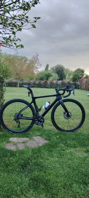 Pinarello, Gan Shimano Ultegra