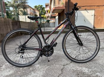 Used Grandis Ibrida   HIGH SPEED Anno 2020 2020 Road & Gravel — image 3 of 11