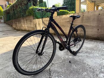 Used Grandis Ibrida   HIGH SPEED Anno 2020 2020 Road & Gravel — image 1 of 11