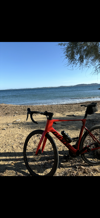 Giant, Propel Advanced 2 2024