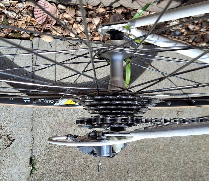 Used Pinarello Asolo 1987 Road & Gravel, White — image 9 of 26