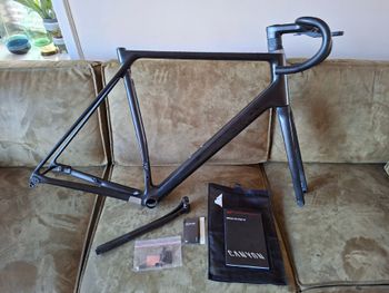 Canyon, Endurace CF SL Disc 8.0 Aero Di2 2020 Frameset